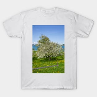 Flower meadow with fruit trees in spring, Bad Wiessee, Tegernsee T-Shirt